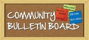 Art,Automotive,Business,Community,Education,Entertainment,Fashion,Food,Galleries,Games & Sports,Health & Beauty,Home,Industrial,Insurance,Jobs & Employment,Legal,Lifestyle,Love & Relationship,Parenting,Technology,Start Up,Travel Option and Guide,SEO website design,Rental bike, car, motorcycle